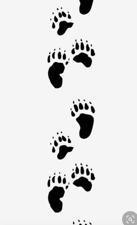 Bear Paws Drawing, Bear Paw Drawing, Bear Tracks, Fern Frond, Animal Tracks, Bear Claws, Bear Paw, Old Trees, Bear Paws