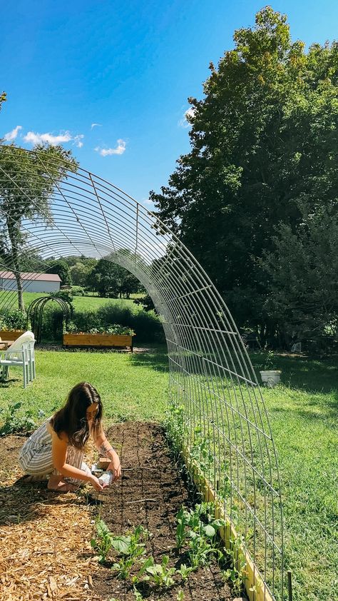 Cattle Panel Greenhouse, Hoop House, Cattle Panels, Homesteading Diy, Green Houses, Small Greenhouse, Greenhouse Plans, Garden Greenhouse, Roof Structure