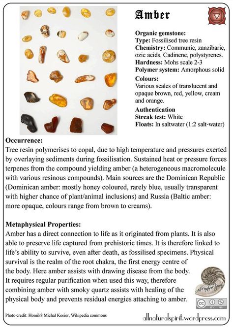 Amber Crystal Meaning, Amber Meaning, Crystal Identification, Crystal Tips, Animal Spirit Guides, Crystal Healer, Spirit Animals, Amber Crystal, Flash Card