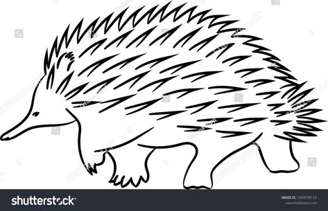 Echidna Tattoo, Echidna Drawing, Aboriginal Art Symbols, Art Symbols, Matching Images, Alphabet Matching, Easy To Draw, Gross Motor Activities, Easy Art