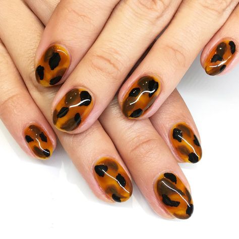 Tortoise shell print nail art perfect for winter and fall style. Or any season for that matter! Tortoise shell nail art has taken over the internet lately. For more tortoise shell and other nail art inspiration, click through to Katie Masters aka Nailthoughts nail instagram page! Tortoise Nails, Thanksgiving Nail Designs, Nagellack Trends, Thanksgiving Nails, Nail Art Summer, Nail Art Inspiration, Nail Polishes, Cool Nail Art, Nail Trends