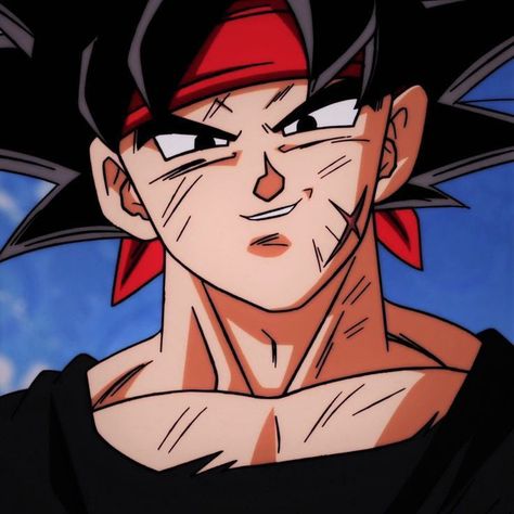 Dragon Ball Heroes, Rugs Design, Image Dbz, Dbz Characters, Dragon Ball Art Goku, Dragon Ball Super Artwork, Anime Dragon Ball Goku, Dragon Balls, Dragon Ball Super Manga