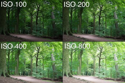 Getting out of Auto: Understanding ISO on your digital camera Iso Camera, Iso Photography, Iso Settings, Electronics Mini Projects, Outdoor Photoshoot, Backyard Inspo, Outdoor Photos, Electronics Design, Cool Poses