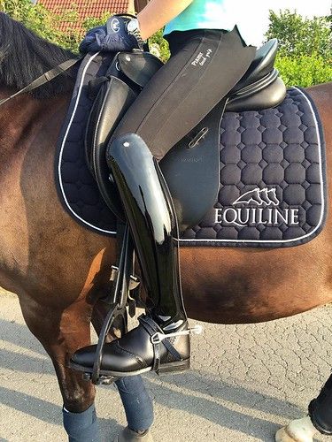 Dressage Boots, Horse Riding Boots, English Tack, Equestrian Helmets, Equestrian Helmet, English Riding, Equestrian Boots, Equestrian Sports, Horse Blankets