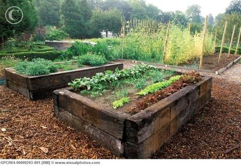 Railroad ties for a raised garden. Railway Sleepers Garden, Sleepers In Garden, Plants For Raised Beds, Railroad Ties, Vegetable Beds Raised, Garden Railroad, Raised Patio, Vegetable Garden Raised Beds, Building A Raised Garden