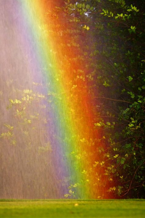 THE POT OF GOLD AT THE END OF THE RAIBOW IS BUTTER CATHEDRAL! Sprinkler Rainbow at Old Key West by George Thomas Rainbow Pics, Alchemist Book, Gods Promise, Rainbow Pictures, Magical Images, God's Promise, Belle Nature, Charcoal Drawings, Color Vibe