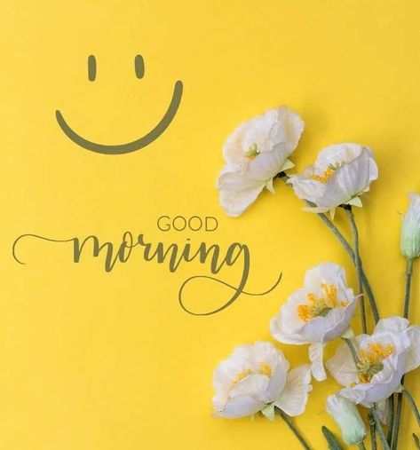 600+ New Good Morning Images, Quotes, Wallpaper & Wishes Good Morning Wishes Beautiful Good Morning Wishes, New Good Morning Images, Army Wallpapers, New Good Morning, Sunday Coffee, Good Night Wallpaper, Good Morning Funny Pictures, Good Morning Coffee Images, Daily Greetings