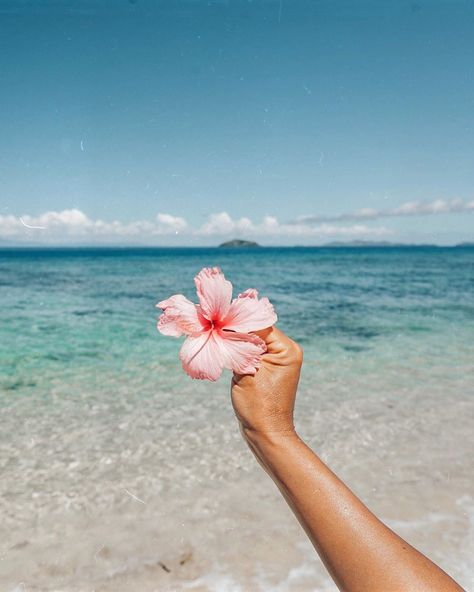 “ Genius might be the ability to say a profound thing in a simple way “ ~ Charles Bukowski 🌸 ✨ Mermaid Perfume, Iphone Pictures, Sweet Escape, Aesthetic Inspiration, Hawaiian Flowers, Summer Photos, Tropical Vibes, Beach Vibes, Beach Aesthetic