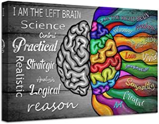 Amazon.com: psychology decor - Prime Eligible Psychology Decor, Stem Bulletin Boards, Left And Right Brain, Branches Of Psychology, Psychology Posters, Brain Poster, Beautiful Sea Creatures, Right Brain, Beautiful Sea