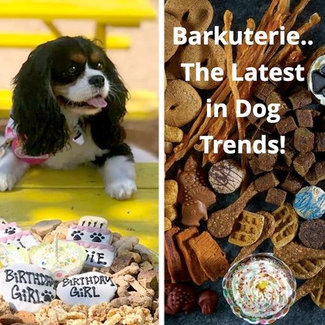 Deli Platters, Dog Trends, Diy Dog Food, Welcome Home Parties, Dog Treats Homemade Recipes, Dog Bakery, Puppy Treats, Dog Cakes, Gotcha Day