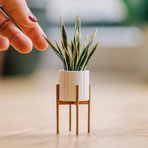 Paper Plants Diy, Caleb Y Sophia, Sansevieria Plant, Paper Pot, Mini Mundo, Sansevieria Trifasciata, Paper Plants, Paper Craft Ideas, White Pot