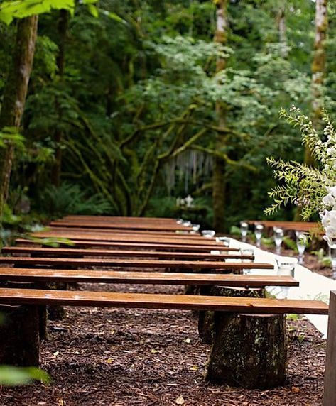 Natural Log Bench | supply-events Outdoor Wedding Seating, Log Bench, Diy Outdoor Seating, Wedding Ceremony Seating, Diy Outdoor Weddings, Backyard Wedding Ceremony, Tree Stumps, Seating Ideas, Ceremony Seating