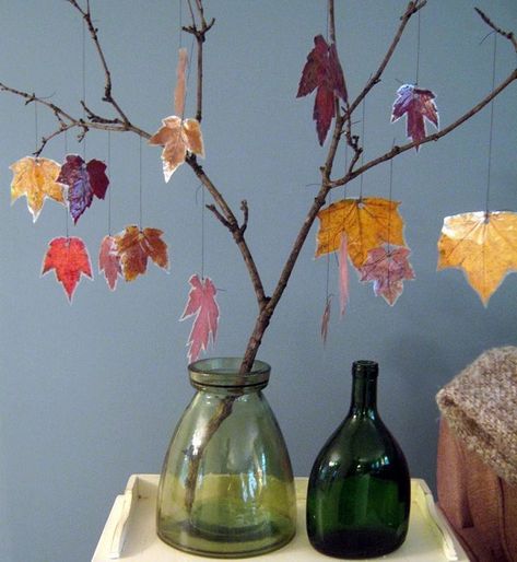 AUTUMN ACTIVITIES FOR TODDLERS - Make some #Autumn Tree #Decorations with the #kids using real leaves - goo.gl/QwhSQm #NZMums #children #kidsactivities #kidsartsandcrafts #kidsfun #outdoorlearning #children #toddlers #preschoolers #autumnactivities Leaf Mobile, Mobiles For Kids, Mobile Craft, Leaf Projects, Fall Bedroom Decor, Fall Bedroom, Leaf Crafts, Green Glass Vase, Kid Craft