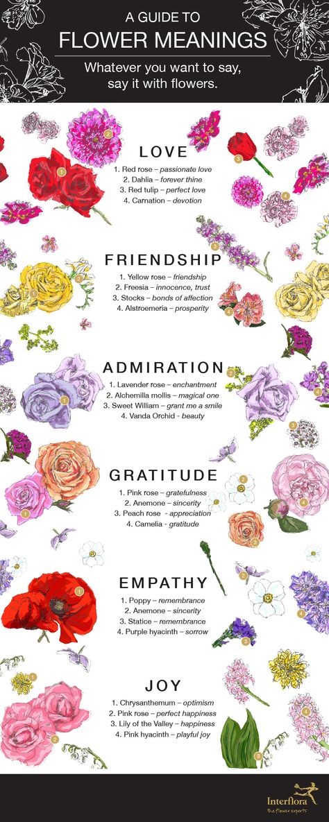 Flower Meanings Infographic - Interflora Secret Language Of Flowers, List Of Flowers Names, Flower Prompts, Types Of Flowers And Meanings, Different Flowers And Their Meanings, Tulip Meaning, Flowers And Their Meanings, Monthly Flowers, Meaningful Flowers