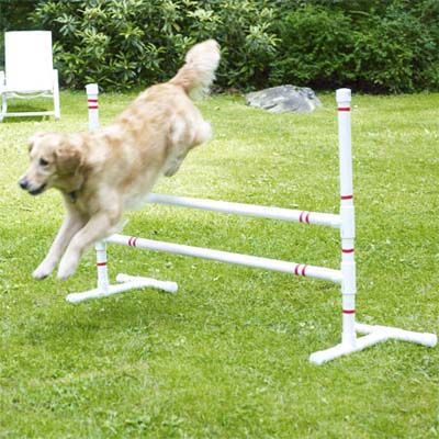 Build your pet an agility course that includes jump bars, teeter-totter and weave polls with our easy-to-follow plans. |  Photo: Wendell T. Webber | thisoldhouse.com Dog Agility Course Diy, Diy Dog Run, Dog Agility Course, Dog Jumping, Dogs Diy Projects, Diy Dog Kennel, Agility Training For Dogs, Diy Dog Toys, Dog Playground