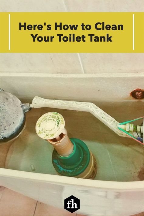 Here's How to Clean Your Toilet Tank Cleaning Inside Toilet Tank, Vinegar In Toilet Tank, Cleaning Toilet Tank, Toilet Tank Cleaner, House Maintenance, Cleaning Methods, How To Clean Rust, Diy Toilet, Cleaning Tricks