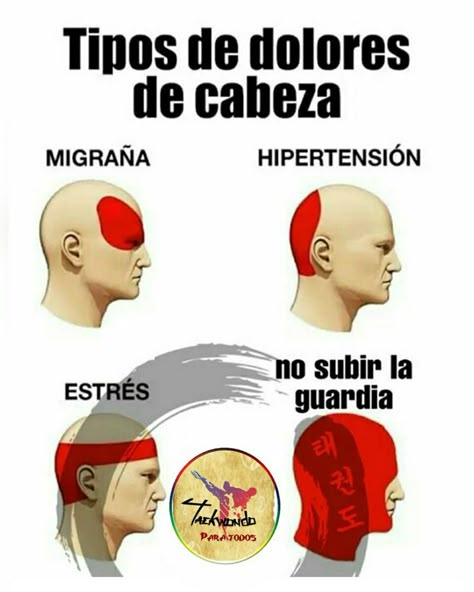 ¿Te a pasado? Jaja......sube la guardia!!..... #taekwondo #tkditf #tkdwtf #tkdlove #taekwondolife #karate #ufc #judo #entrenar #entrenamiento #training #viral #trend Lima Lama, Tkd Taekwondo, Taekwondo Girl, Taekwondo Training, Rock Argentino, Funny Ads, Hapkido, Aikido, Viral Trend