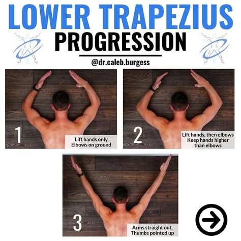 Dr. Caleb Burgess DPT OCS CSCS on Instagram: “💥Low Trap Progression💥 - 💯 Tag a friend who could use this progression! - 💥The middle and lower trapezius muscles can be helpful to…” How To Stretch Trapezius Muscle, Stretch Trapezius Muscle, Lower Traps Exercises, Trap Muscle Workout, Lower Trapezius Stretch, Lower Trapezius Exercises, Lower Trap Exercises, Trap Release, Traps Exercises