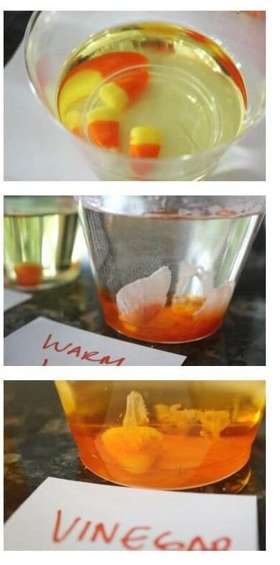 Halloween Science Activities Preschool, Dissolving Candy Corn, Halloween Experiments, Halloween Science Activities, Candy Experiments, Candy Corn Crafts, Halloween Science, Science Experiments For Preschoolers, Halloween Preschool