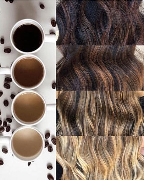 Bayalage coffee colors Light Brown Hair Shades, Coffee Hair, Brown Hair Shades, Chocolate Brown Hair Color, Hair Color Chocolate, Bronde Hair, Chocolate Brown Hair, Types Of Hair, The Last Drop