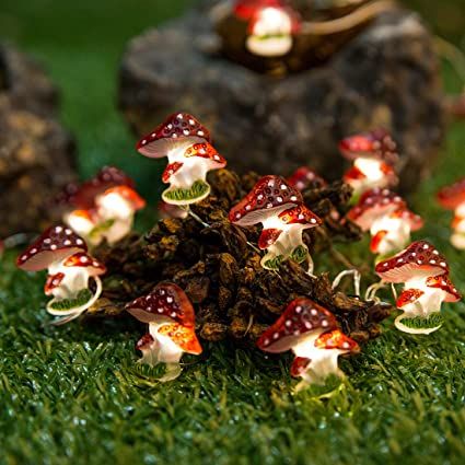 Mushroom String Lights, Battery Operated String Lights, Fence Plants, String Lights In The Bedroom, Led Decoration, Mushroom Lights, Fairy Lights Bedroom, Battery String Lights, Mushroom Fairy