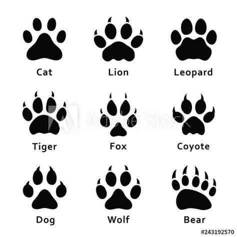 Stock Image: Animals footprints, paw prints. Set of different animals and predators footprints and traces. Cat, lion, leopard, tiger, fox, wolf, coyote, dog, bear Animals Footprints, Paw Print Drawing, Kuda Nil, Bird Footprint, Wolf Paw Print, Macan Tutul, Names Cat, Paw Drawing, Animal Footprints