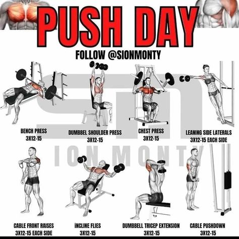 Push Your Limits: The Best Push Day Routines for Serious Gains (And the 18 Best Exercises To Do So) 2 Push Day For Women, Pull Day Exercises, Push Day Workout Women, Push Exercises, Push Pull Workout Routine, Push Up Routine, How To Build Strength, Push Day Workout, Tricep Workouts