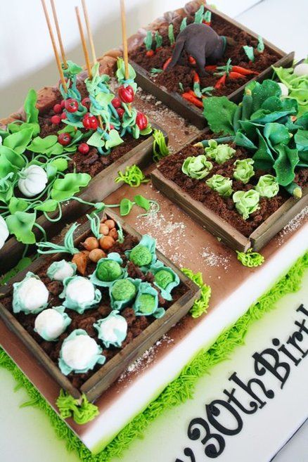 Vegetable Garden Cake - For all your cake decorating supplies, please visit craftcompany. co uk Allotment Cake, Vegetable Garden Cake, Garden Cake, Farm Cake, Garden Cakes, ดินปั้น Polymer Clay, Seni Origami, Unique Cakes, Novelty Cakes