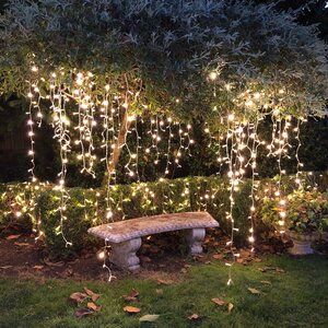 Backyard Fairy Lights, Hanging Tree Lights, Fairy Lights In Trees, Eglo Lighting, Bridal Backdrops, Icicle Christmas Lights, Light Up Tree, Outdoor Fairy Lights, Icicle Lights