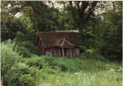 Hidden Run Down Cottage, Poor Cottage Aesthetic, Groundskeeper Cottage, Small Woodland Cottage, Scotland Cottage Aesthetic, 1700s Cottage, Cottage In The Woods Aesthetic, 1800s Cottage, Cottage In Forest