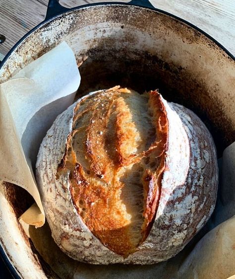 Country Loaf Bread Recipe, Sourdough Recipe, Dutch Oven Bread, Healthy Bread Recipes, Country Bread, Bread Oven, Sourdough Baking, No Knead Bread, Dessert Pictures