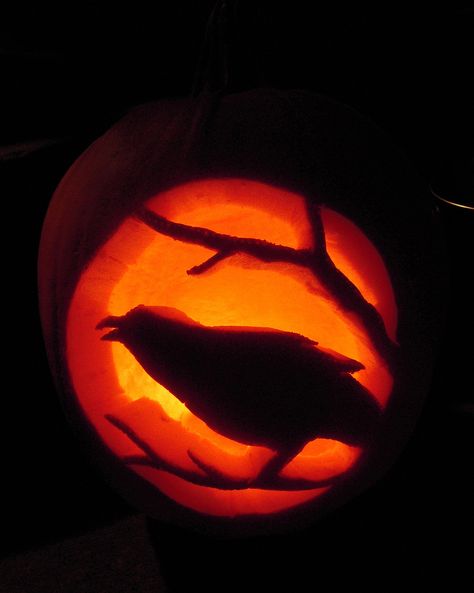 Witchy Jack O Lantern Ideas, Raven Jack O Lantern, Crow Jack O Lantern, Bat Jack O Lantern Ideas, Moon Jack O Lantern Ideas, Unique Jack O Lantern Ideas, Raven Pumpkin Carving, Jack O Lantern Ideas Creative, Pumpkin Carving Bat