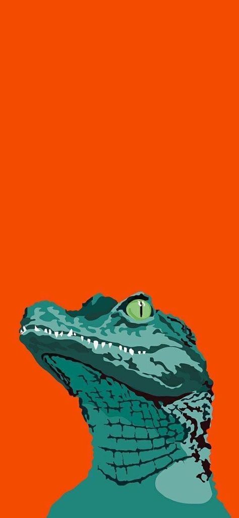 Alligator Wallpaper, Crocodile Illustration, Tattoo Animals, Arte Peculiar, Posca Art, Arte Pop, Animal Wallpaper, Funky Art, Photo Profil