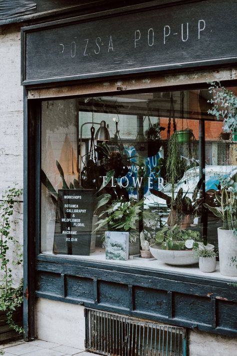 Flower shop display with pegboard signage and hanging displays Pharmacy Pictures, Florist Branding, Point Of Sale Display, Visual Merchandising Displays, Flower Store, Flower Bar, Florist Shop, Shop Front, Merchandising Displays