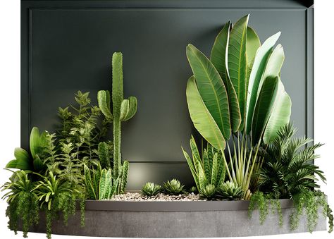 Teal Decor, Plant Decor Indoor, Interior Plants, Office Plants, House Plants Decor, Cactus Garden, Interior Garden, Plant Design, Tropical Garden