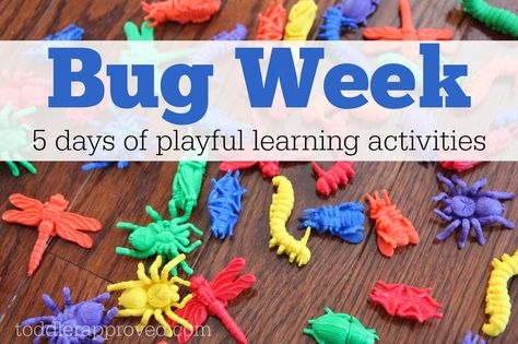 Learning Activities For Kids, Bug Activities, Insects Preschool, Bugs Preschool, Insect Activities, Toddler Themes, Insect Crafts, Lesson Plans For Toddlers, Playful Learning