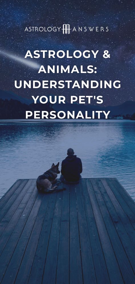 Dog Astrology, Cat Astrology, Dogs Personality, Dog Zodiac, Pet Psychic, Relationship Compatibility, Dog Personality, Astrology And Horoscopes, Gemini Sign