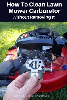 Lawn Repair, Lawn Mower Maintenance, Lawn Mower Repair, Lawn Mower Storage, Technical Knowledge, Handyman Projects, Diy Lawn, Push Mower, Lawn Care Tips