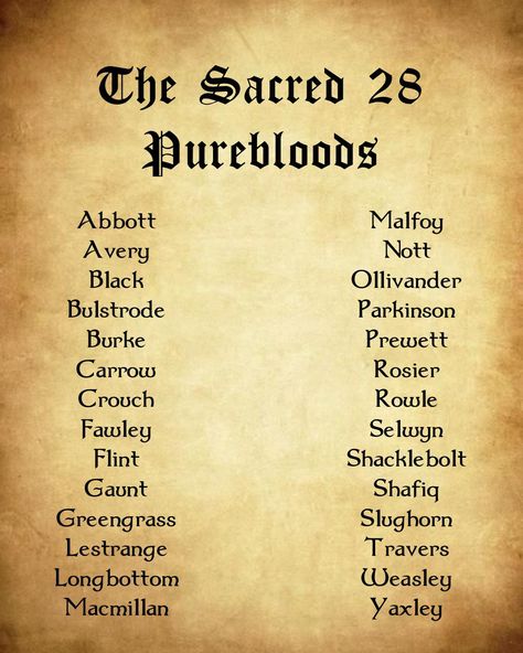 Family Tree Harry Potter, Sacred 28, Harry Potter Infographic, Harry Potter Script, Harry Potter Scrapbook, Colton Underwood, Potter Wallpaper, Hogwarts Dr, Harry Potter Spells