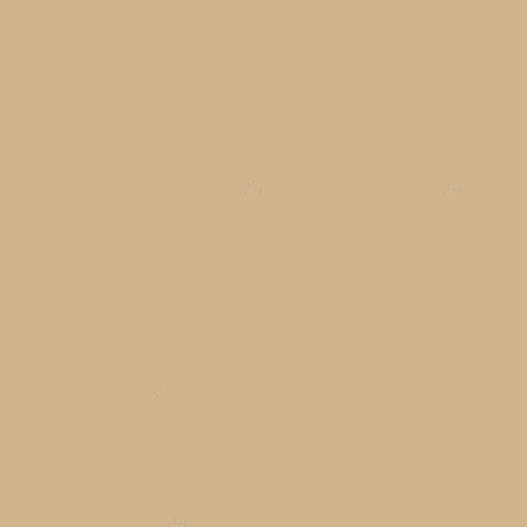 Biege Colour Aesthetic Wallpaper Plain, Blank Beige Backgrounds, Light Brown Plain Background, Light Brown Background Plain, Light Brown Colour Background, Light Brown Wallpaper Plain, Plain Tan Background, Brown Plain Background, Light Brown Color Background