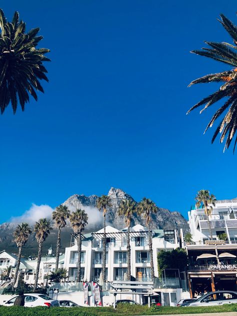 Camps bay came town palm trees beach Cape Town Beach, Camps Bay Cape Town, Camps Bay, Palm Trees Beach, I Want To Travel, Cape Town, Palm Trees, South Africa, Cape