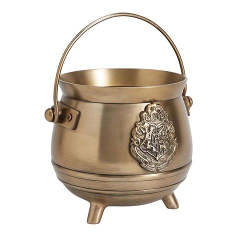 Harry Potter™ Cauldron Planter | Pottery Barn Teen Harry Potter Interior Design, Harry Potter Interior, Harry Potter Desk, Cauldron Planter, Hogwarts Decor, Planter Pottery, Harry Potter Room Decor, Pottery Barn Christmas, My Little Pony Twilight