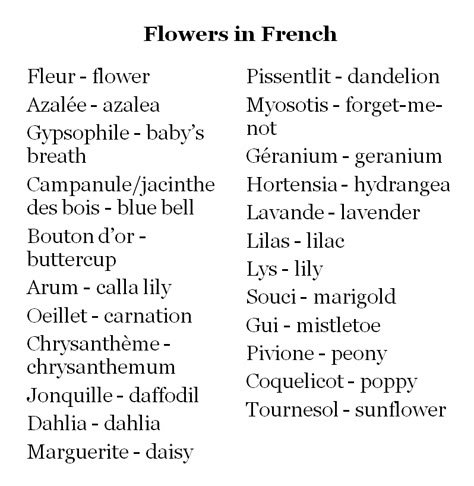 Flowers in French French Flowers Name, French Cute Nicknames, French Username Ideas Instagram, Coquette French Words, French Nicknames Aesthetic, Flowers Username Ideas, Cute Words In French, Nicknames In French, French Cute Words