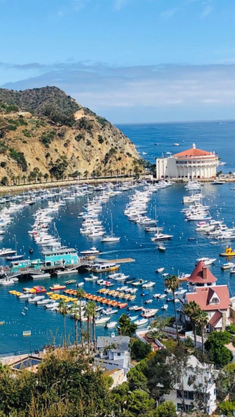 Catalina Island Hotels, Things to Do, Packages, Visitor Information | Love Catalina Catalina Island Hotels, Catalina California, Welcome To California, Ahwahnee Hotel, Catalina Island California, Santa Catalina Island, Visit Los Angeles, Best Campgrounds, Places In California