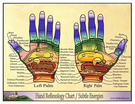 Reflexology Charts - Northern Nevada Reflexology Hand Reflexology Chart, Reflexology Hand, Hand Chart, Sigmoid Colon, Reflexology Foot Chart, Hand Reflexology, Reflexology Chart, Reflexology Massage, Fallopian Tubes