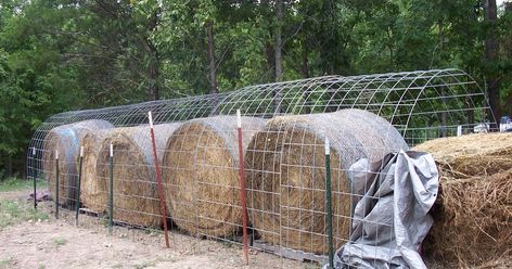 We've been getting our hay in large rounds for over a year now.  Although I like the ease of working with the smaller square bales, it's jus... Wire Fence Panels, Round Bale Feeder, Hay Feeder For Horses, Cattle Feeder, Hog Wire Fence, Alfalfa Hay, Hay Storage, Horse Hay, Cattle Panels