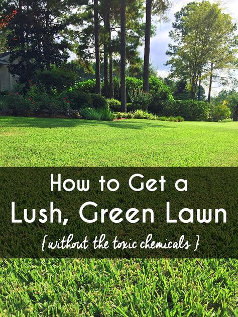 Grass Fertilizer, Pond Covers, Simple Landscaping, Dreamy Places, Sustainable Gardening, Lawn Fertilizer, Kids And Pets, Family Safety, Lush Lawn