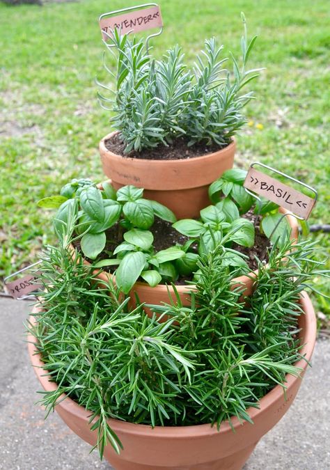 40 Incredible DIY Garden Bed And Planter Ideas Herb Garden Pots, Herb Garden Planter, Outdoor Herb Garden, Diy Garden Bed, Herb Planters, Indoor Herb Garden, Buy Home, Veggie Garden, Planting Herbs