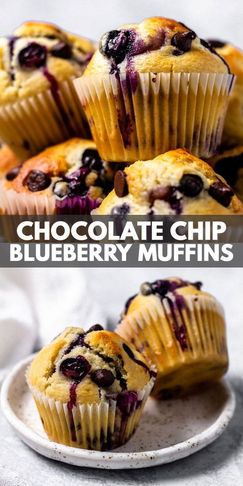 Blueberry Chocolate Chip Muffins, White Chocolate Muffins, Homemade Blueberry Muffins, Bakery Style Muffins, Blueberry Chocolate, Simple Muffin Recipe, Homemade Muffins, Dessert Aux Fruits, Sweet Bakery