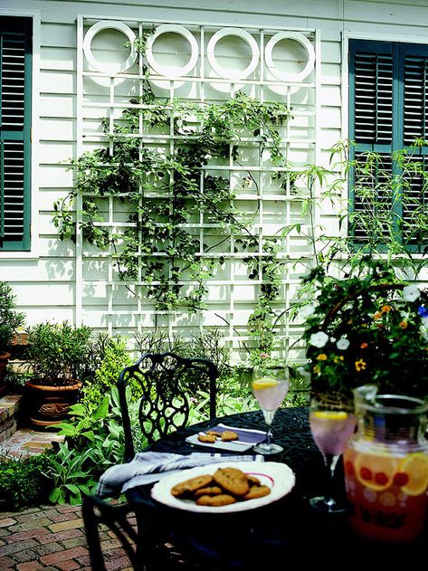 Wall Trellis Ideas, Wall Mounted Trellis, Large Trellis, Building A Trellis, Wall Trellis, White Trellis, Clematis Plants, Diy Garden Trellis, Arbors Trellis